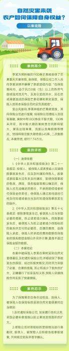 自然災(zāi)害來襲，農(nóng)戶如何保障自身權(quán)益？